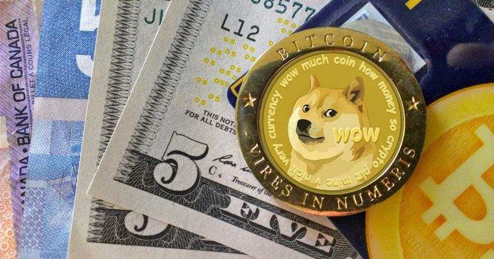 Dogeco