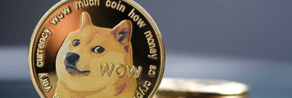 Golden dogecoin cryptocurrency and copy space